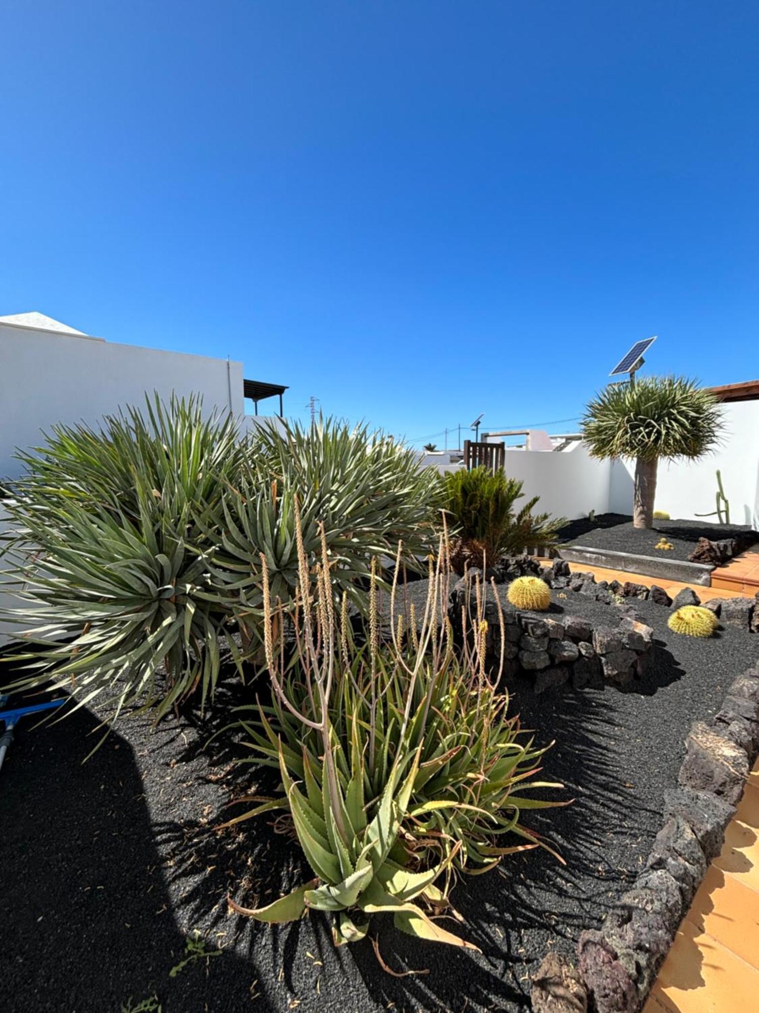 Rincon Oasis Nazaret Villa Eksteriør bilde